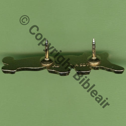 A0931  2022+ A0931 SAL.17 EH.1.67 PYRENEES CAZAUX 39x10mm  AB 2Attac PINS Dos scintillant 39x10mm Src.Y.GENTY 20Eur(x10) 